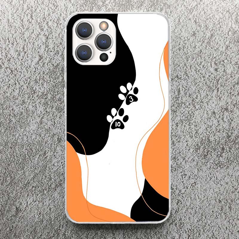 Andreil All For The Game Palmetto State Foxes Handyhülle Für iPhone 17 16 15 14 13 12 11 Pro Max Mini Plus Air 7 SE 8 Weiches Silikon