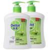 Plant Care Hand Wash Family Pack