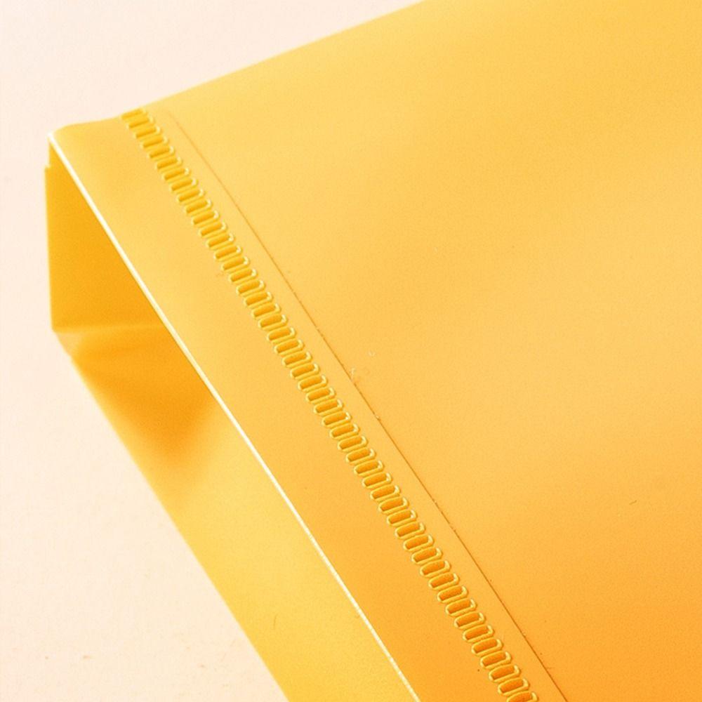 Document Organiser A4 PP File Folder Paper Organizer A4 File Organizer Durable   Test Paper