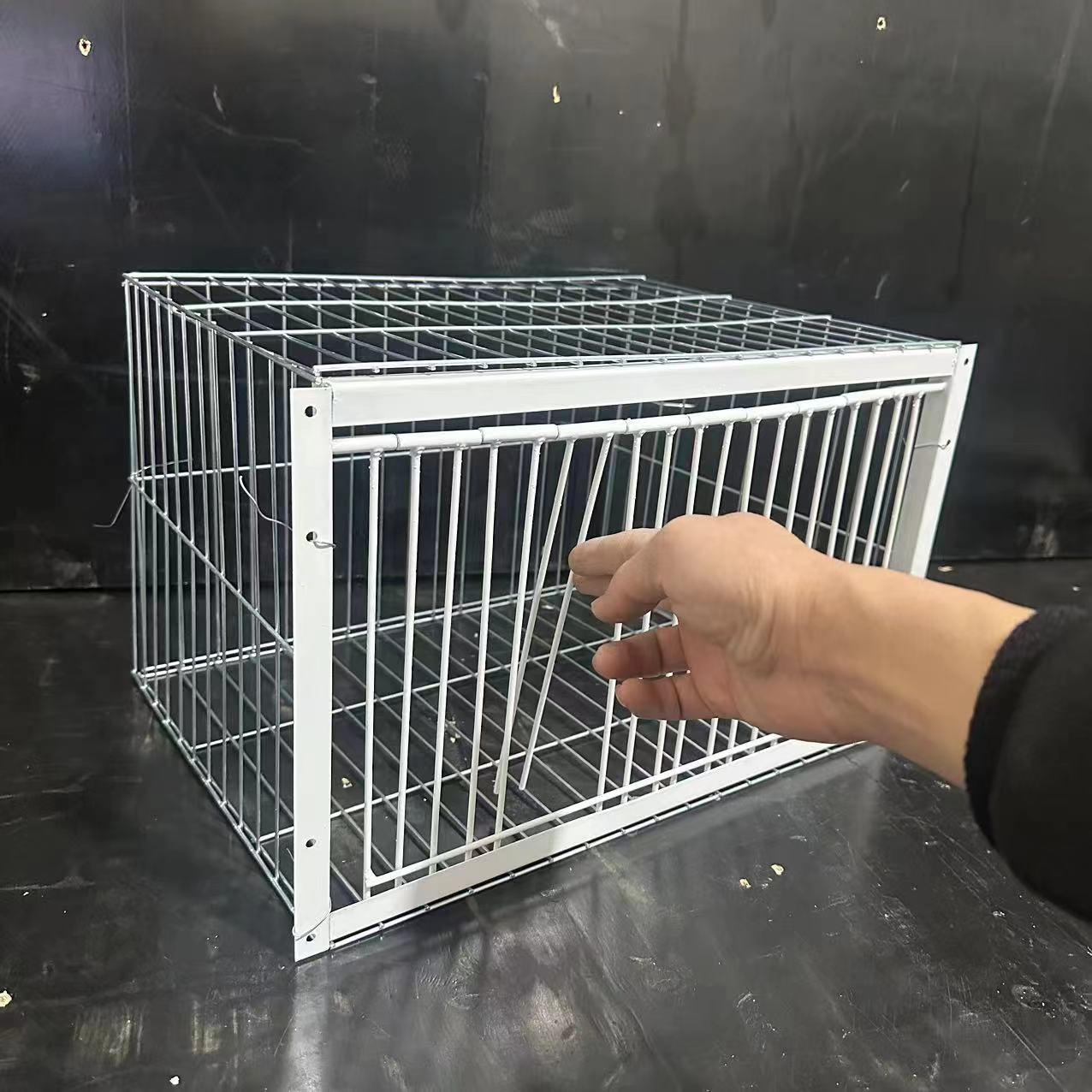 

Клітка для голубів на даху з автоматичними дверцятами та функцією входу 40 length 30 width 26 height, first door