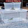 Transparente Reptilienzuchtbox Belüftet Stapelbar Reptilienterrarium Klare Sicht Ausbruchsicher Schildkröten-Transportbox