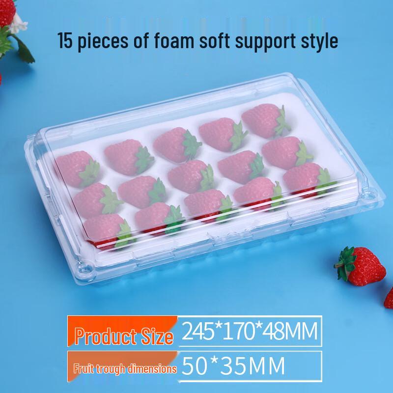 Sairkeyou Disposable Transparent Strawberry Packaging