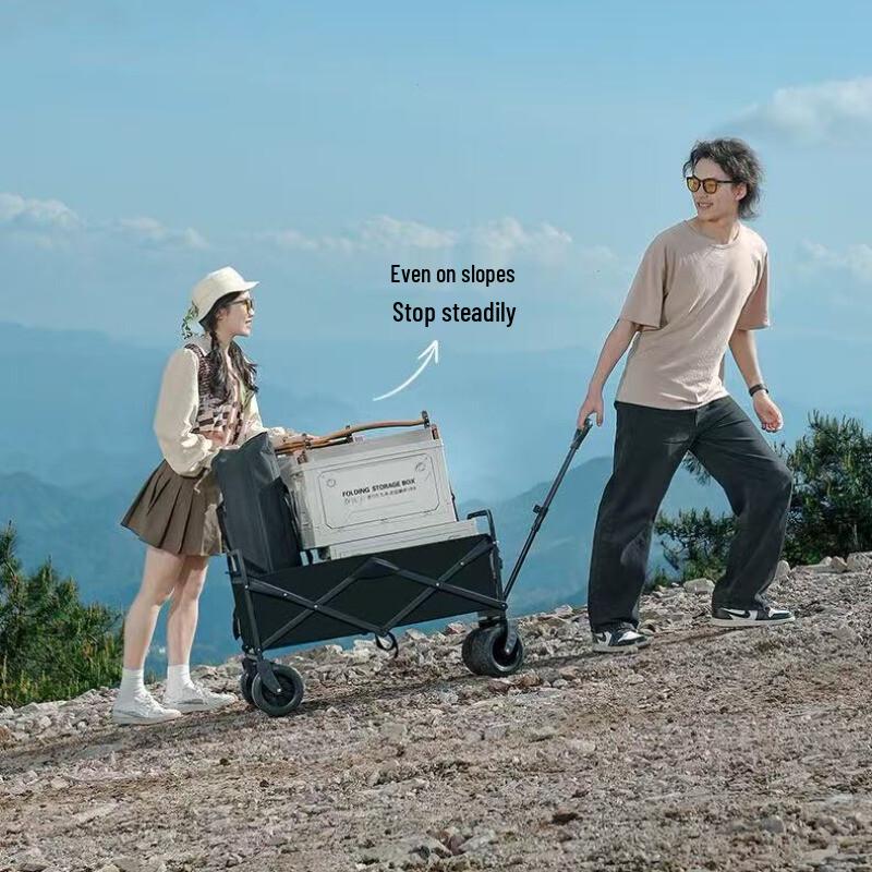 FTLY Folding Camping Wagon with 8-inch Off-Road Wheels