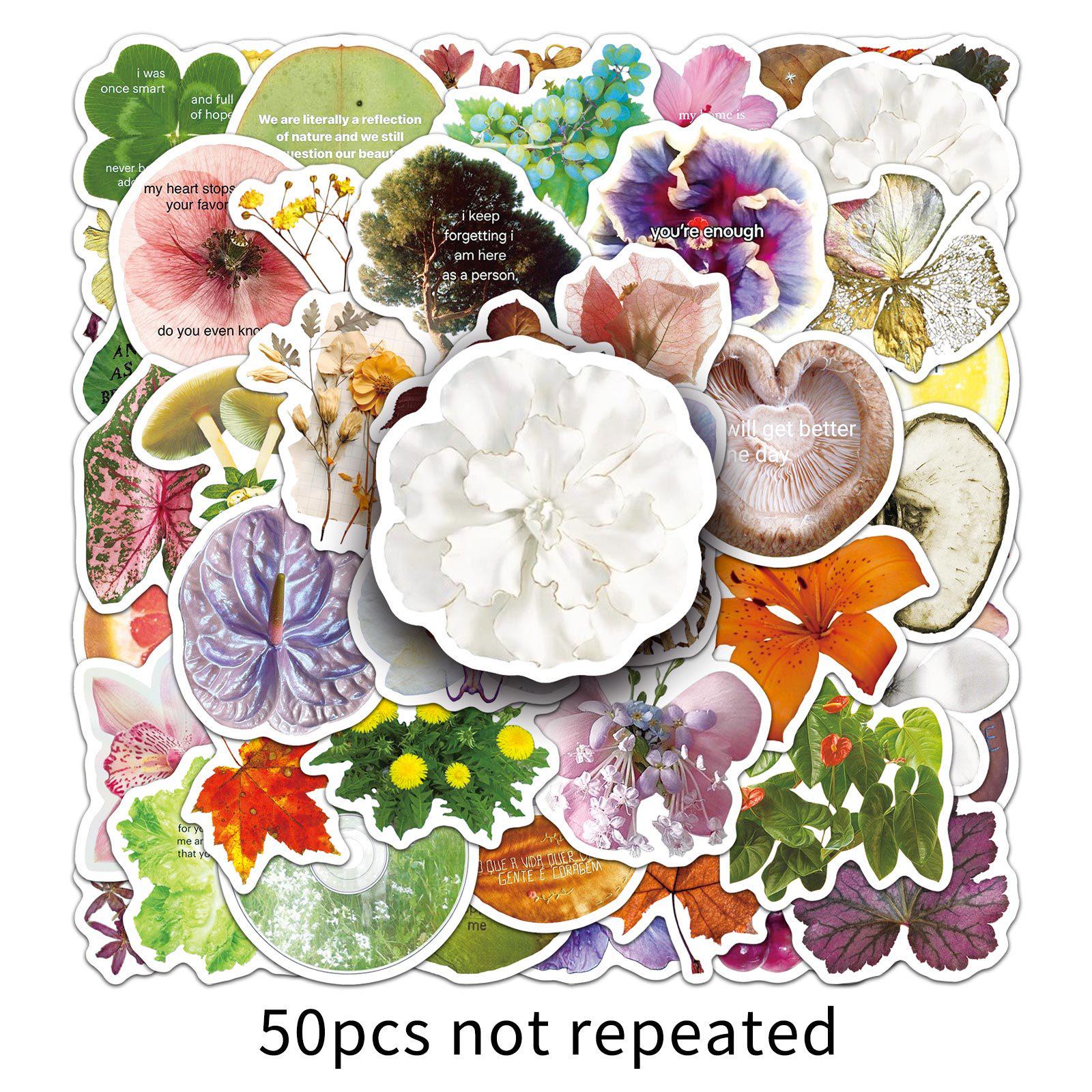 Waterproof Cartoon Plant Specimen Stickers: 50 Leaves & Flowers for Creative Decoration
