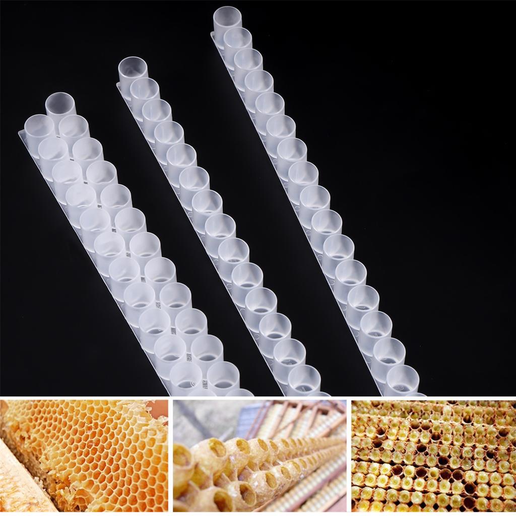 Plastic Transparent Beekeeping Single/Double Row Paddle Royal Jelly Strip Collection Queen Bee Breeding Beehive Accessories 5Pcs