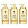 Fenghua Herbal Dye & Perm Repair Conditioner