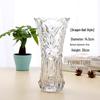 Extra Large Transparent Glass Vase, 50cm Height, Wide Diameter for Flower Arrangements, Living Room Decor, Hydroponic Lucky Bamboo