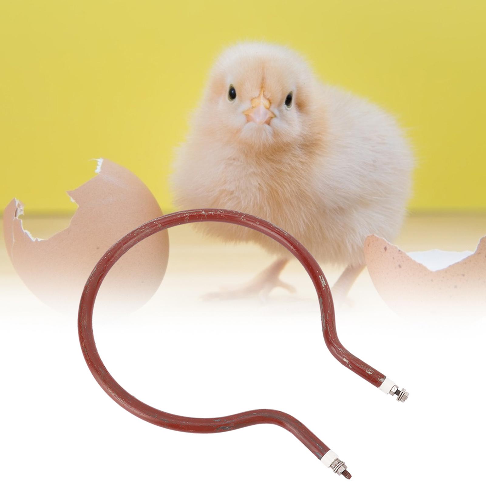 

Нагреватель инкубатора Круглый нагревательный элемент Принадлежности для инкубатора (200 Вт Малый Круглый)