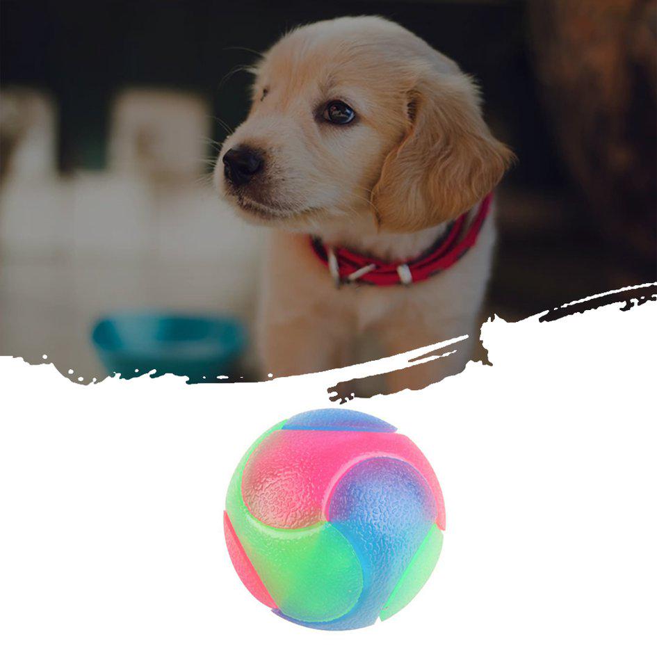 rechargeable dog ball