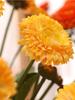 8 Pcs Fake Chrysanthemum Autumn Floral Silk Calendula Flower Artificial Daisy Flowers for Home Office Party Wedding Decor