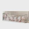 Acrylic Dustproof Display Stand for Figures and Lego by Bubble Mart
