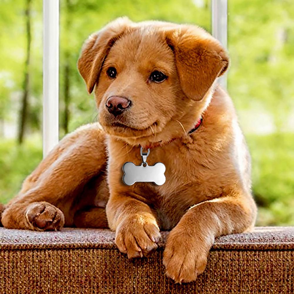 Cute Stainless Pet Name Dog Personalized ID Steel Blank Bone Tags