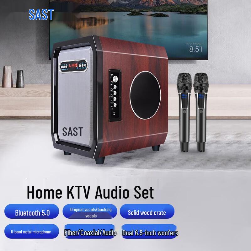

SAST SW28 Home KTV System