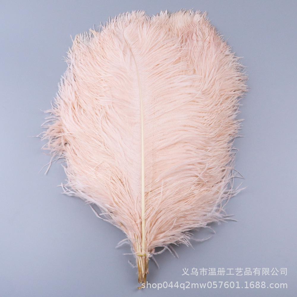 45-50Cm South African Ostrich Hair Modern Feather Lamp Wedding Stage Decoration High Quality Ostrich Hair