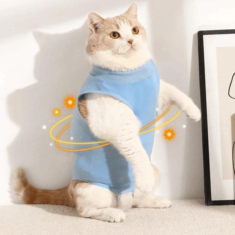 Comfortable Cat Recovery Suit Soft Cat Jumpsuit Pet Clothing Cat Sterilization Suit Pet Supplies