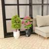 1/12 Dollhouse Mini Simulation Potted Plant Model Micro Garden Landscape Ornament Home Decoration Accessory