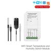 Graffiti WiFi Dual-Channel Temp & Humidity Switch with Timer & Alexa Support