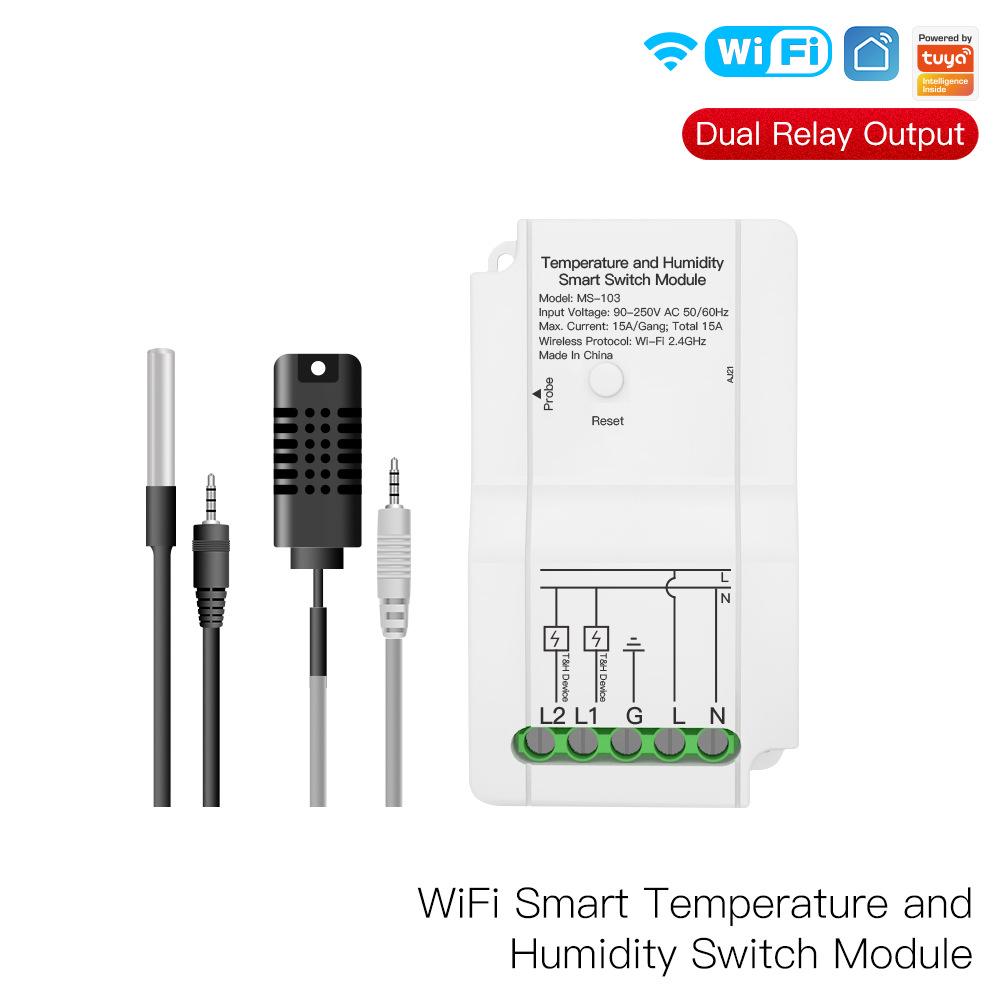 Graffiti WiFi Dual-Channel Temp & Humidity Switch with Timer & Alexa Support