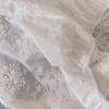 High Waist Lace Underskirt Slips Embroidery Mesh Underskirt Slips Dress  Girls
