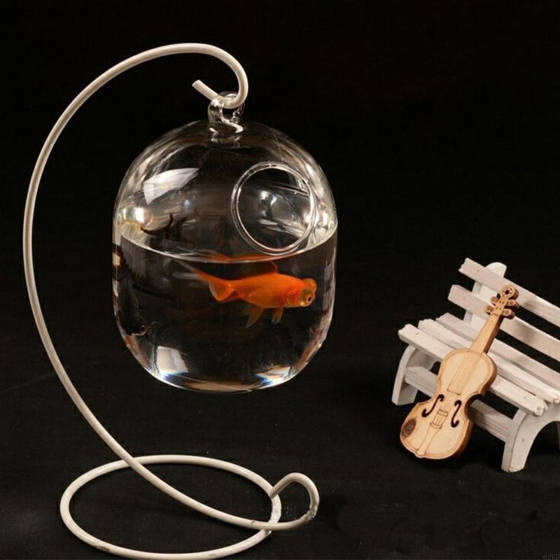 62KD Suspended Transparent Hanging Glass Fish for Tank Bottle Aquarium Flower Plant Vase Flower Vase for Home