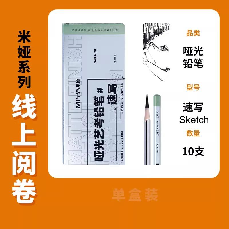 Miya Professionele Houtskoolpotloden Set, 10 Stuks Matte Schetspotloden, Zachte Kunst Tekenpotloden voor Studenten, Kunstenaars & Kunstexamens