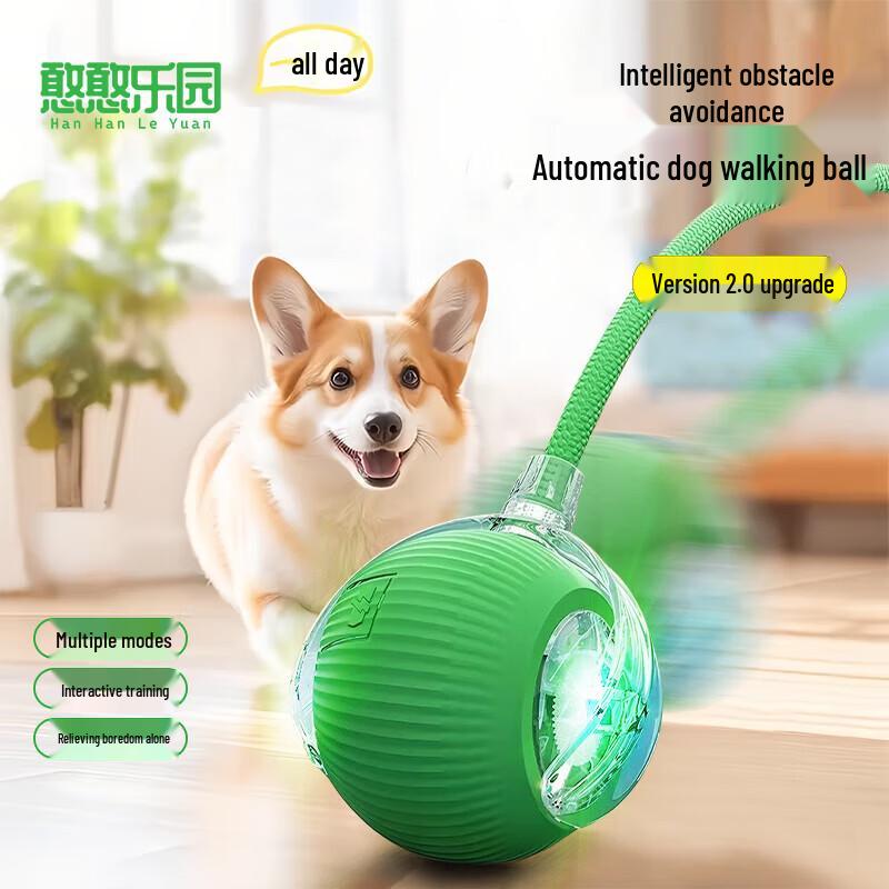 

Розумний електричний м яч-іграшка для собаки