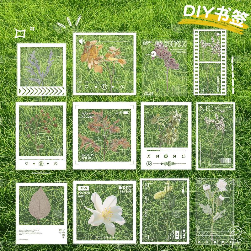 Transparent Specimen DIY Kit: Pressed Leaves, Flowers, Plants for Dried Spring Bookmarks