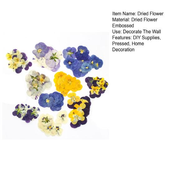 Yousheng 24 Buc. Flori Naturale Presate Uscate DIY Artă Meșteșuguri Topper Tort Decorare Cocktailuri Rășină Bijuterii Scrapbooking Semne de Carte Confecționare Colorat