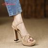 Fashion Aphixta Summer Hot Sale Platform High Heels Sandals Sexy Dress Wedding Shoes Women Ankle Strap Peep Toe High Heel Sandals