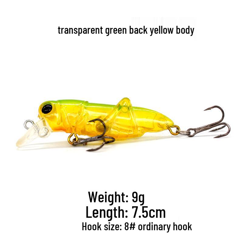 Grasshopper Surface Lure: 3g-9g Bionic Insect Bait for Carp, Silver Carp, Mandarin Fish, and Culter.