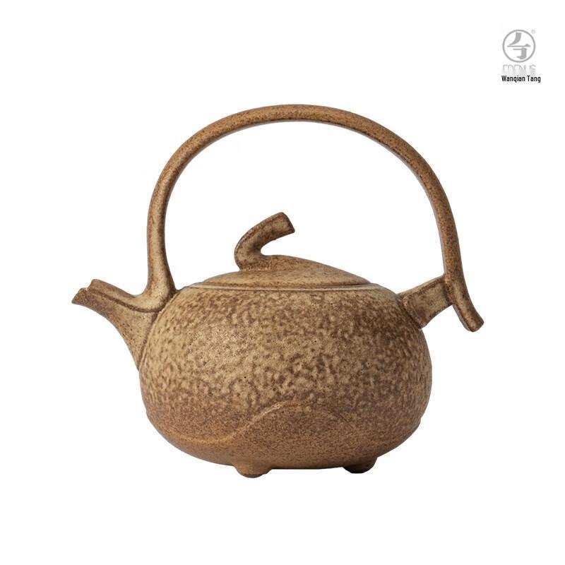 COOKER KING Edenus Tea & Water Kettle with Infuser