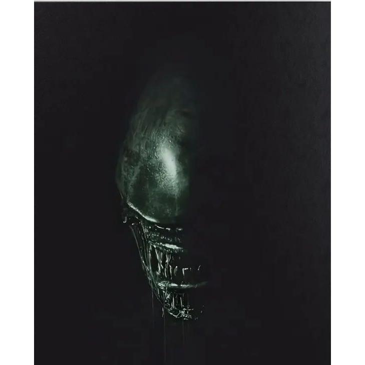 Tapestry Alien 75x100
