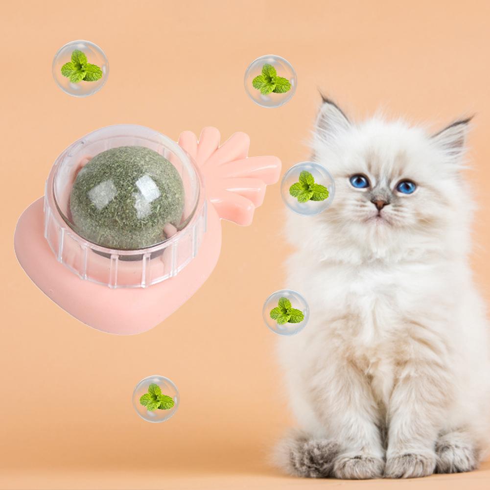 Cat Catnip Toys Ball Treats Healthy Cat Candy Licking Snacks Promote Digestion Rotatable Natural Interactive for Teeth Cleaning