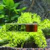 LCD 3D Digital Electronic Temperature Measurement Fish Tank Temp Meter Aquarium Thermometer Temperature Control Accessories