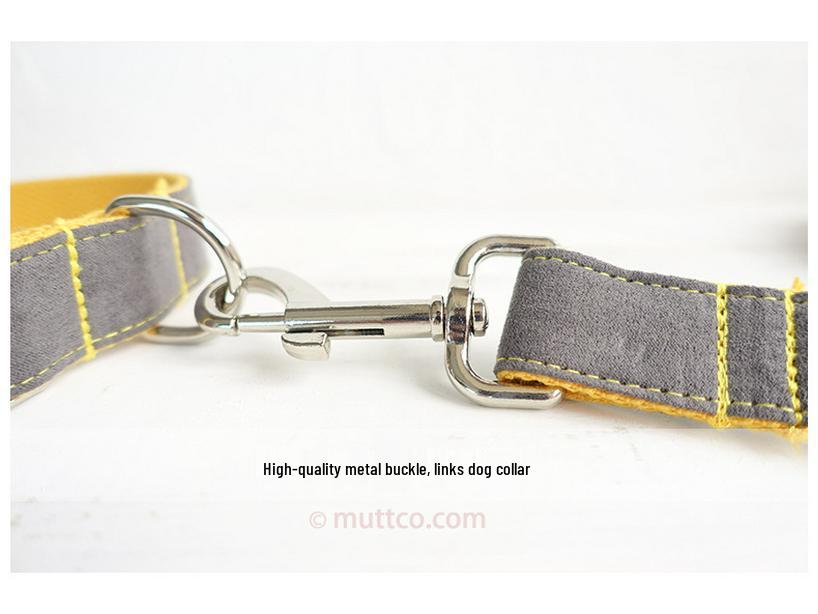 Maßgefertigte graue Hundeleine - Kreatives Design zum Spazierengehen