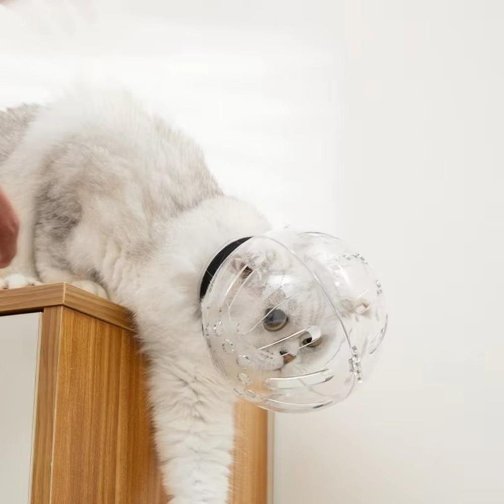 Sturdy Cat Head Cover Ball-shaped Pet Protective Helmet Paw Cover Anti-bite Mask  Prevent Licking