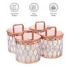Airtight Dry Fruit Container Set With Tray|Plastic Dry Food Storage|500Ml, Set Of 4 (Rose Gold)