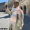 Winter Imitation Cashmere Scarf For Women Maillard High-End Korean Style Warm Retro  Versatile Thick Shawl