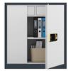 Steel Office Security Cabinet with Fingerprint Lock & Drawers