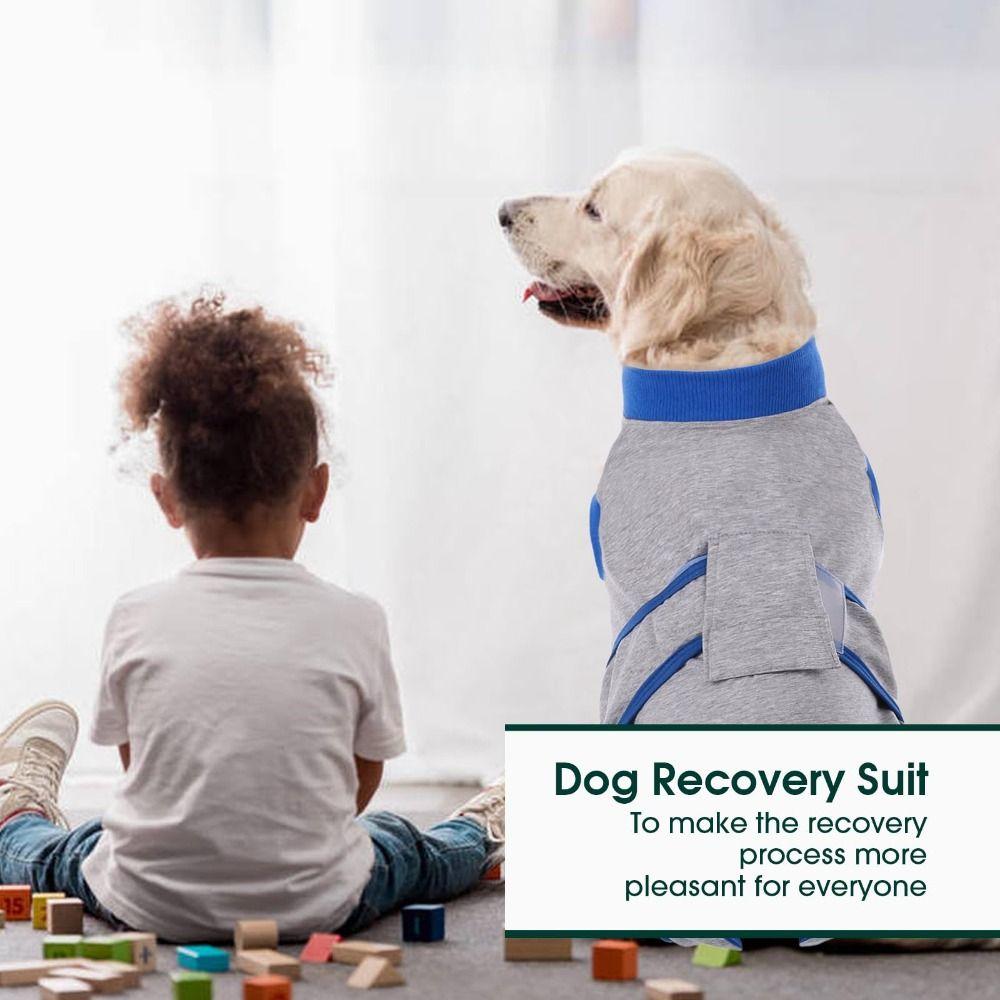 Abdominal Wounds Bandages Dog Recovery Suit Washable Dog Onesies Pet Recovery Shirt  Spay Neuter