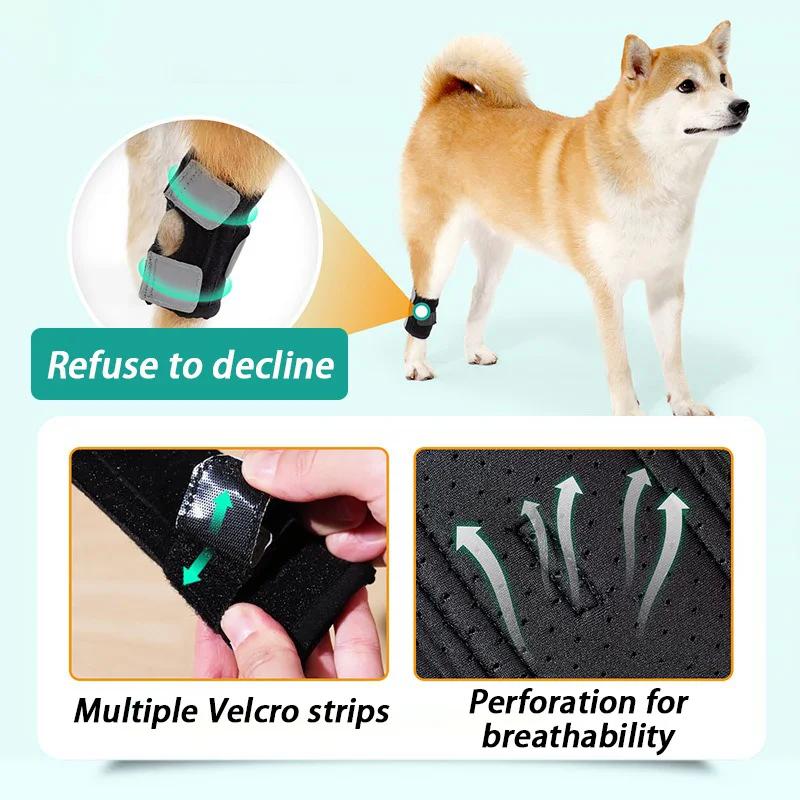 Elderly Dogs Knee Pads Assisted Support Exercise Kneepad Dogs Hind Leg Protection Cover Safety Dog Kneepad Product Leg Guards Recovery Straps Supplies
