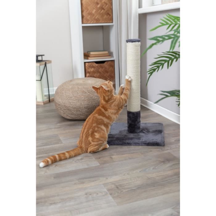 Poteau Griffoir chat - 63 cm - TRIXIE - Gris platinium