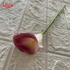 Soft Touch Pu Artificial Calla Lily For Home Styling Decoration Photography
