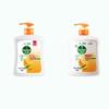 Dettol Healthy Antibacterial Hand Soap, Natural Fresh