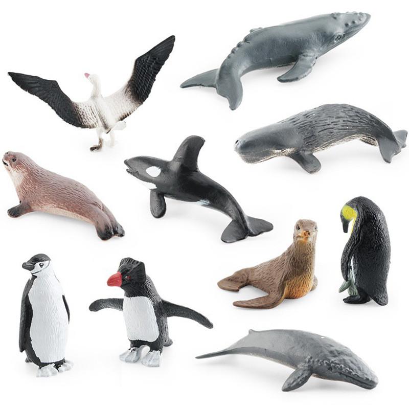 Detailed Pvc Antarctic Ocean Animal Model Set With Penguin Whale Seal And Albatross