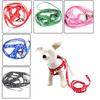 Dog Cat Harness Collar Leash Fashion Bones Paws Print Safety Traction Rope