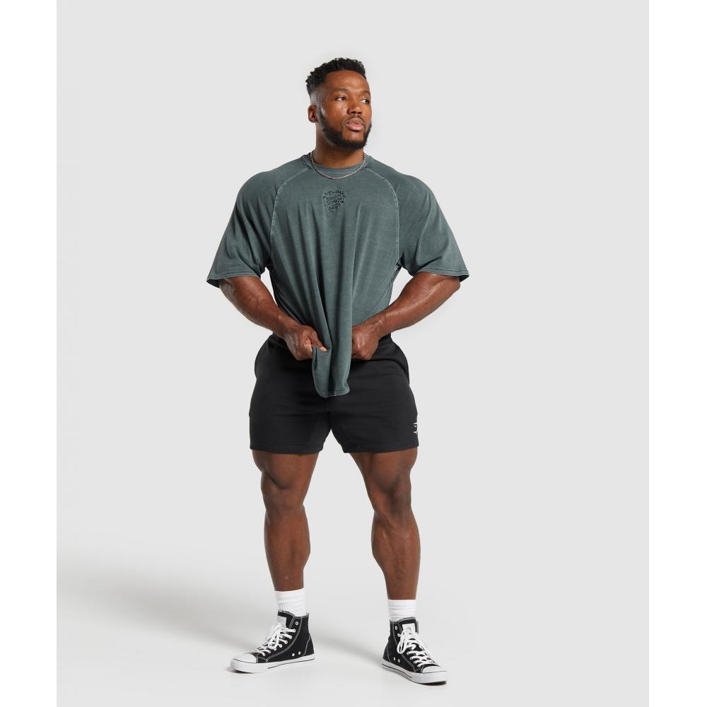 Gymshark Tricou Premium Legacy Cargo Turcoaz A6A7C TBQZ