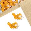 30pcs Creative Kitty Buttons Resin Ginger Cat Buttons Tuxedo Cat Tabby Cat Buttons  Clothing Coat