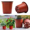 Und Leichtgewicht 10/50/100 Stück Zweifarbiger Kunststoff-Pflanztopf für Setzlinge**