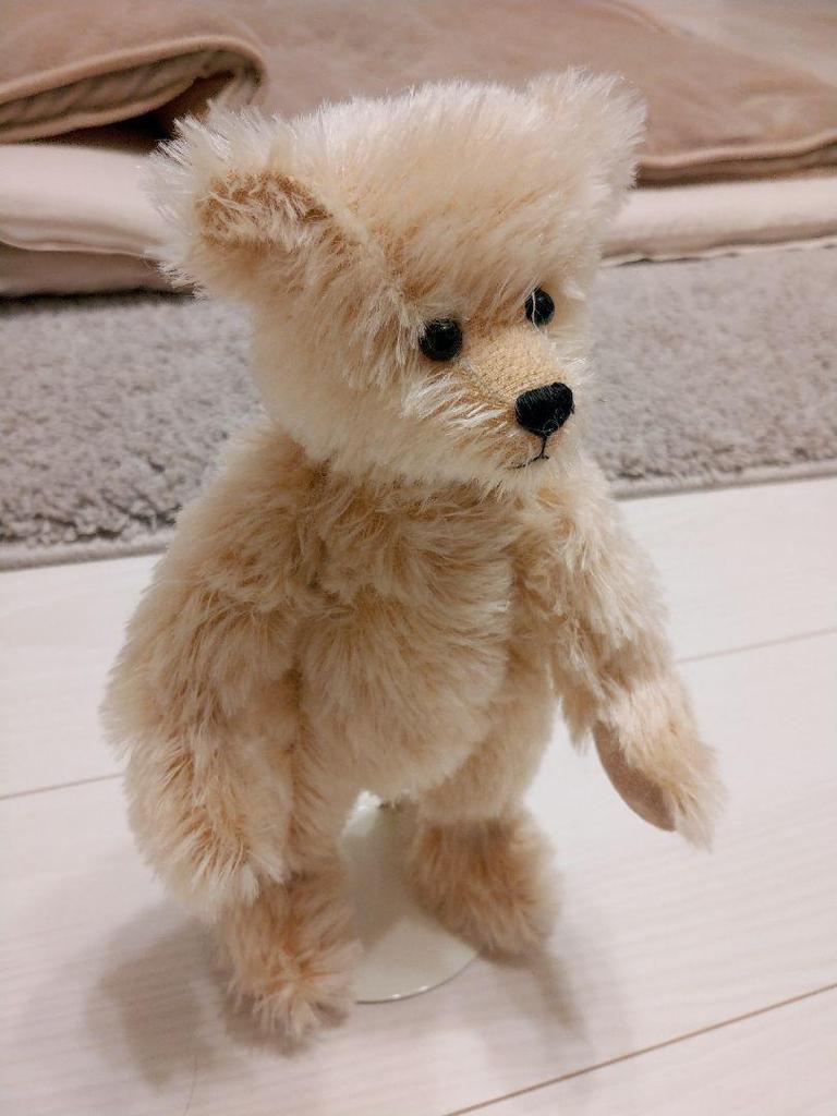 [GEBRAUCHT] Holly Teddybär